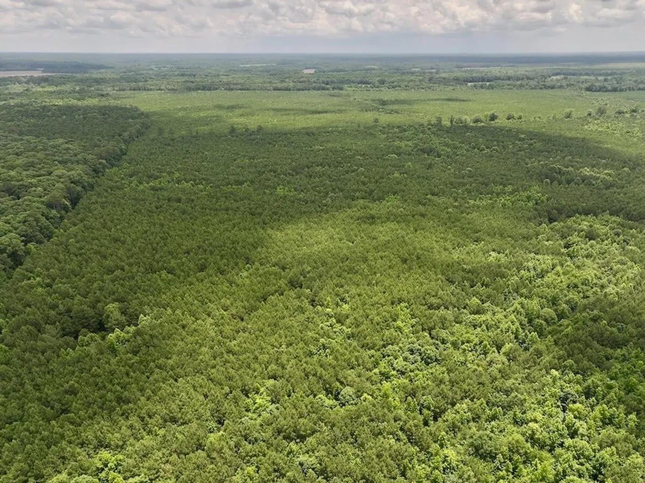 14806882-1