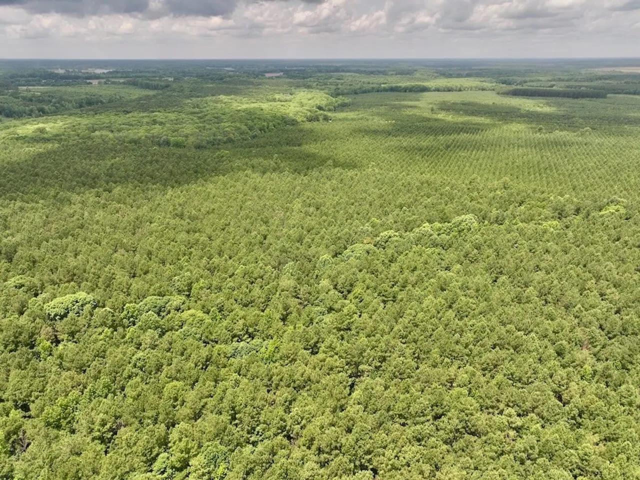 14806882-53