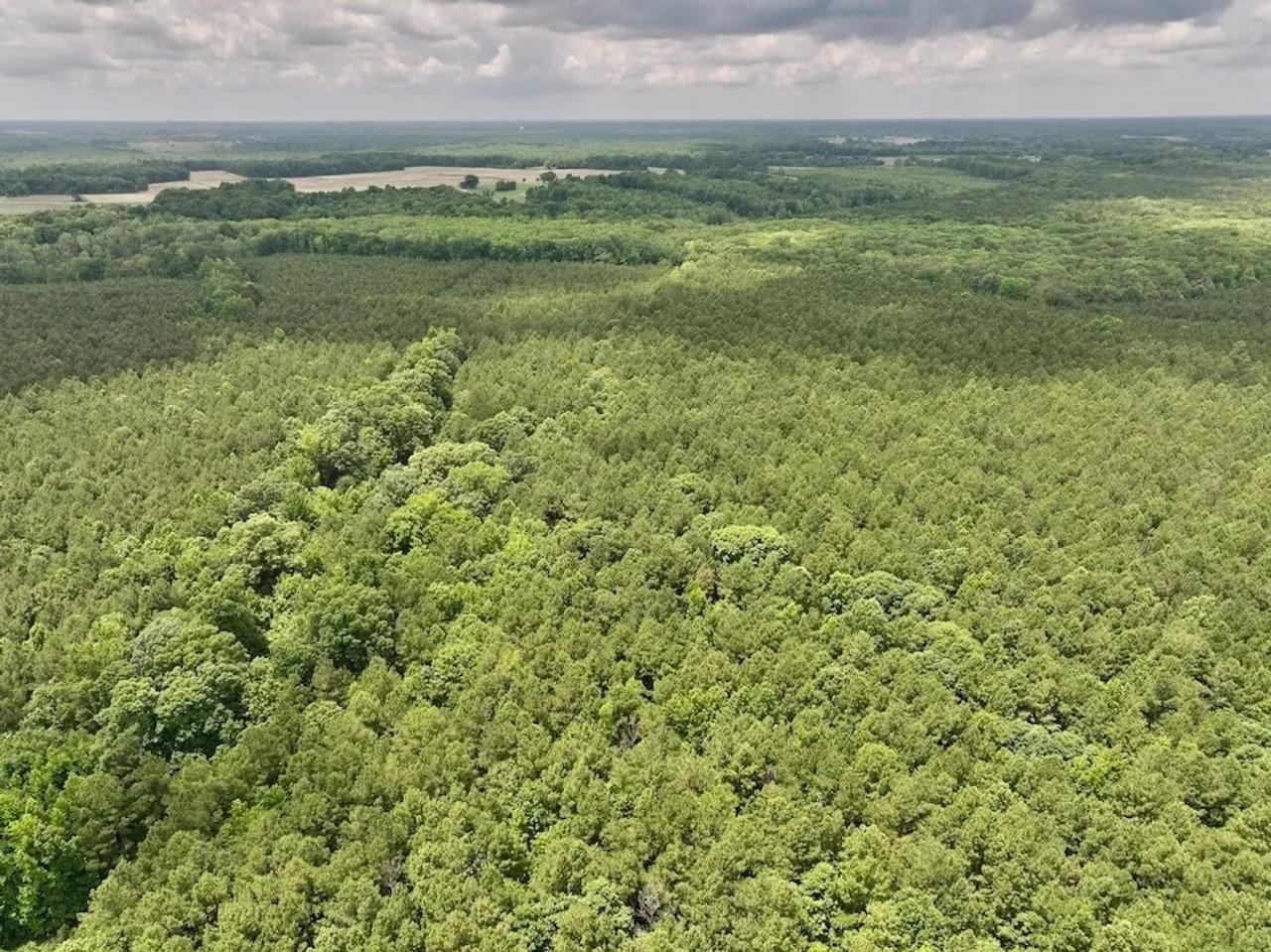 14806882-54