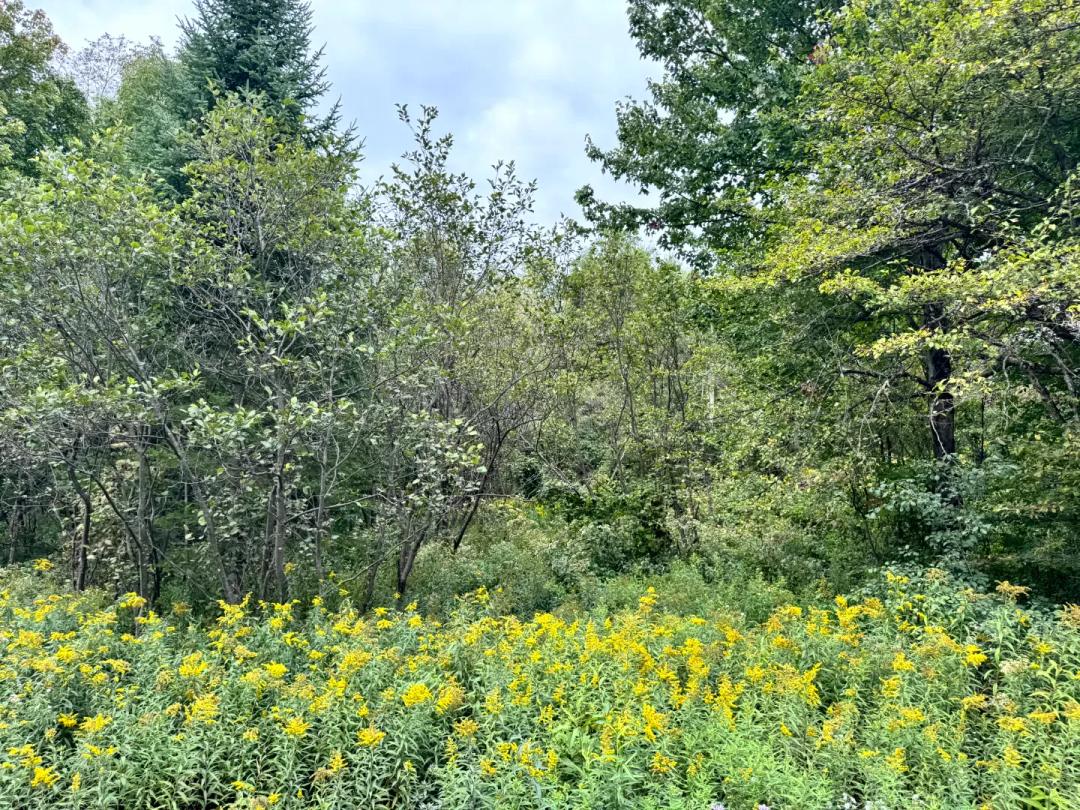 Tug Hill Four-Season Base Camp
