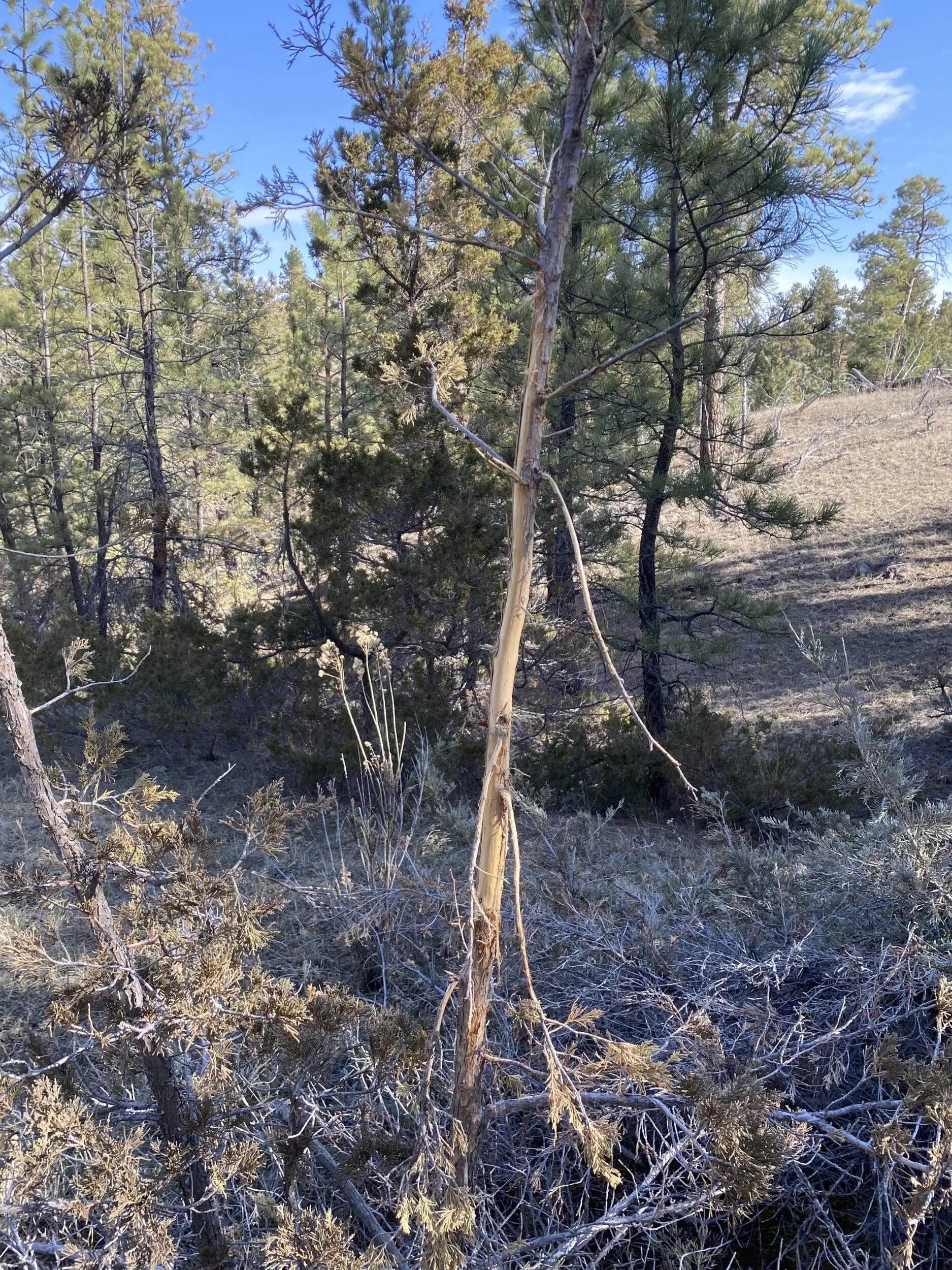 14857809-10