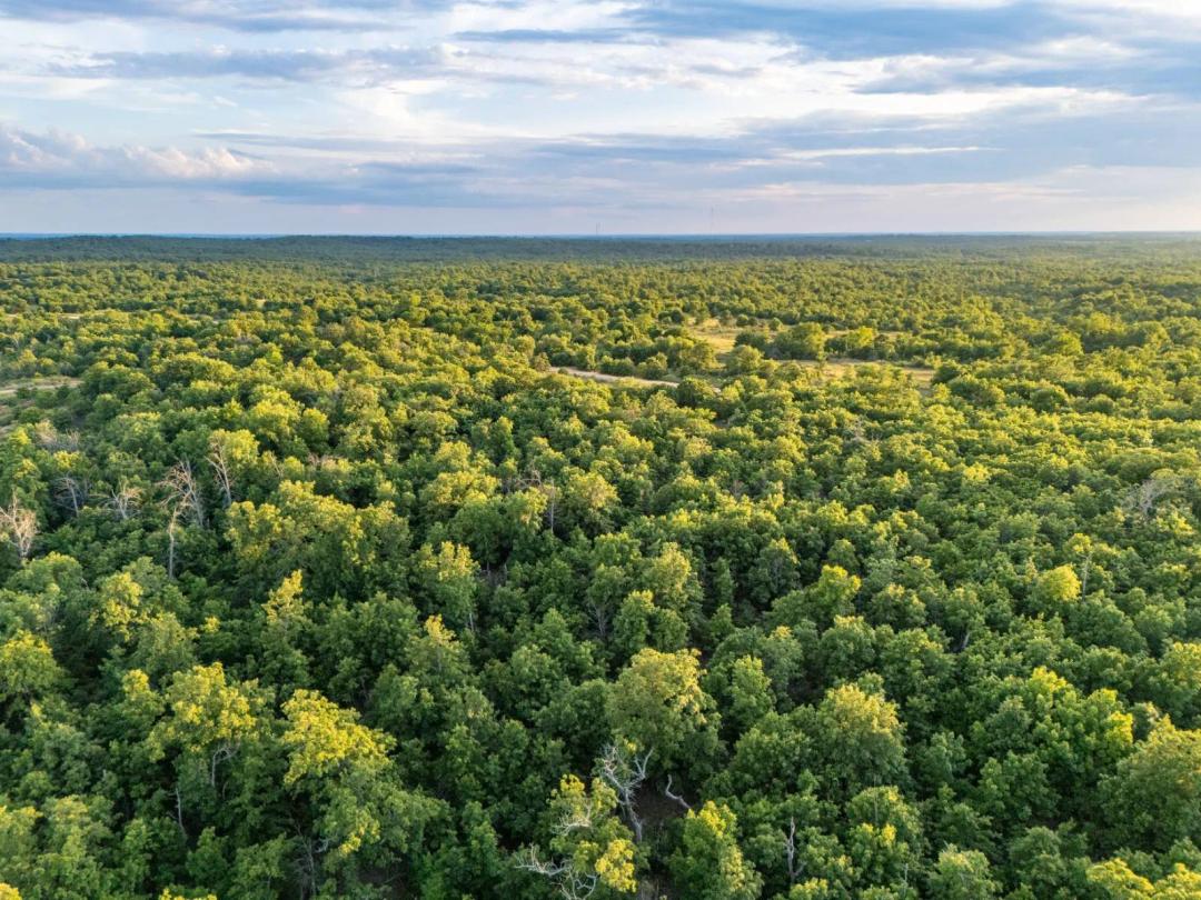 80.00 Acres at 0000 E118 Rd