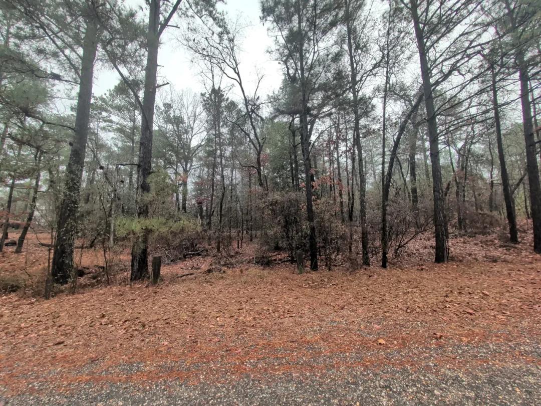 1211 Laurel Circle in Woodlake