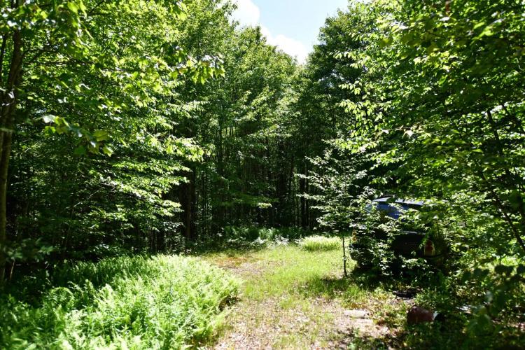 5 acres secluded recreational land
