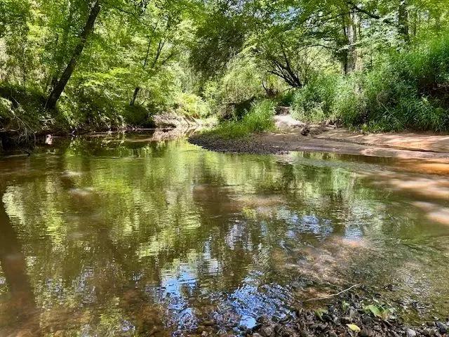325 Acres--Rollinson Rd