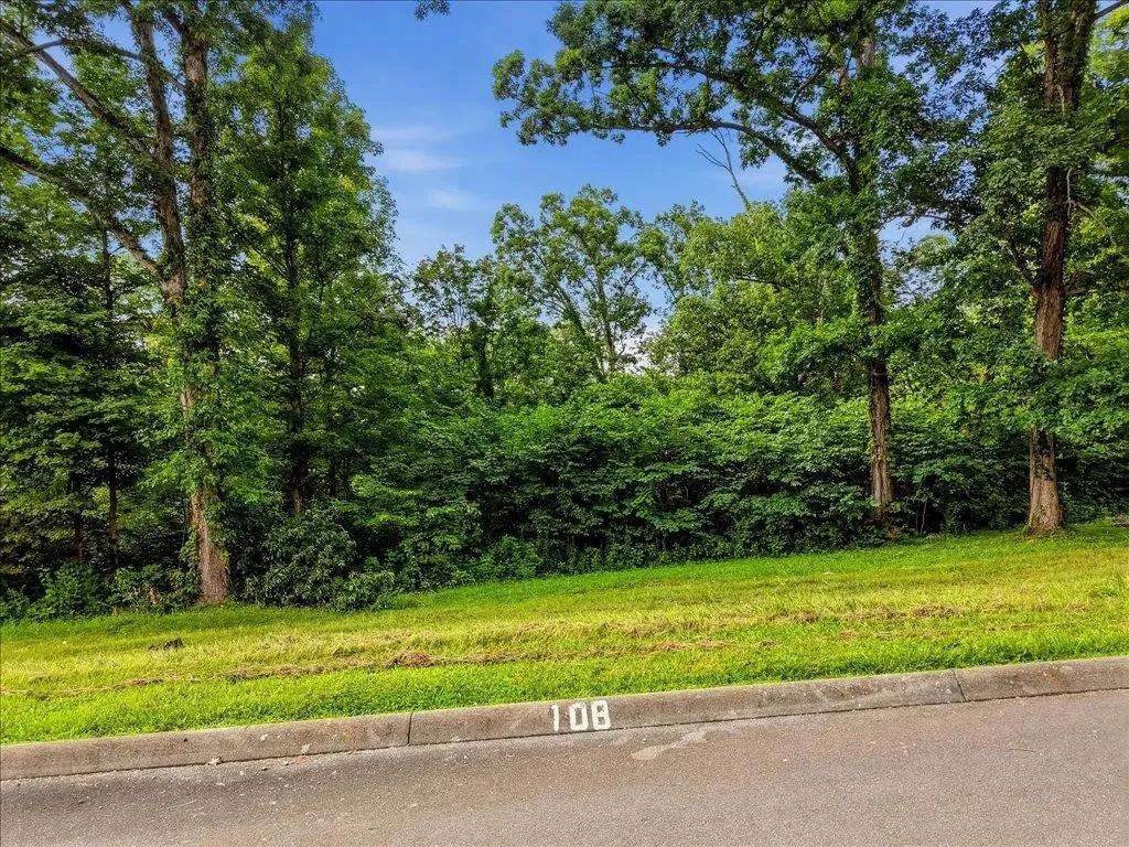 Wooded Cherokee Lake access lot