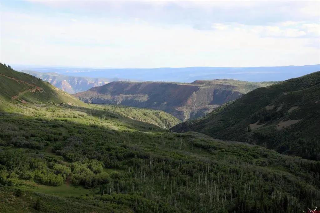 1515 Acres of Land for Sale in Glade Park, Colorado