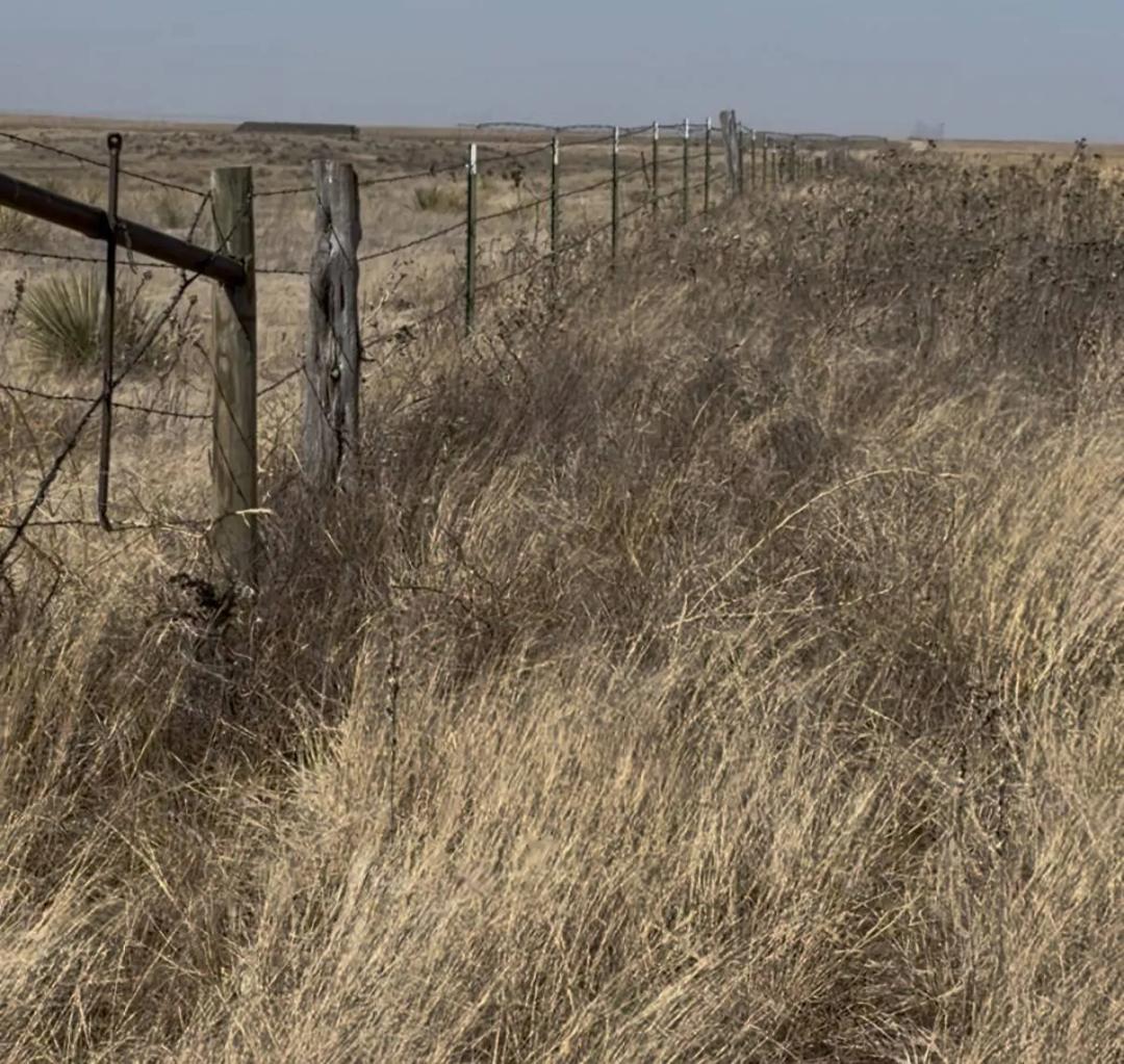 Expansive 82.88-Acre High Plains Retreat