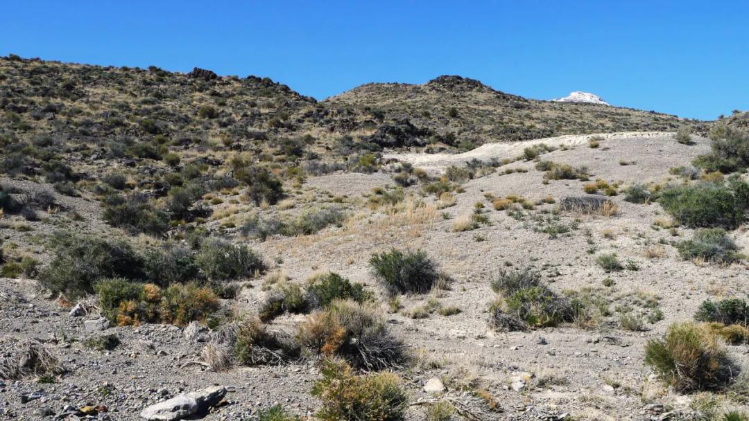 In and On the Pilot Mountains of Eastern Nevada- Borders BLM Lands