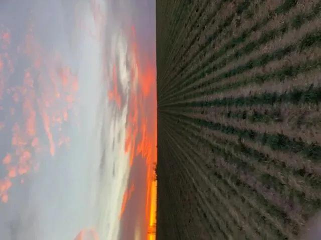 14974916-6