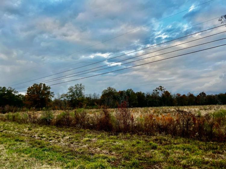 35.53 acres 855'  Frontage on Hwy 80 ONLY 3.1 miles to Megasite