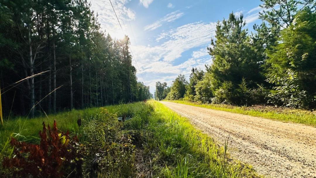 29.00 Acres at 0 Chenault Drive, Tract A