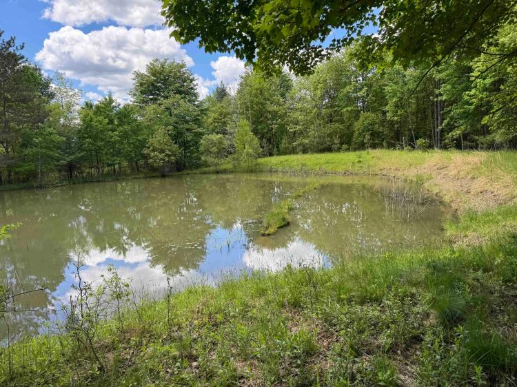 64 acres Recreational Land and Hunting Land with Pond and Building Lot in Limestone NY 676 Main St