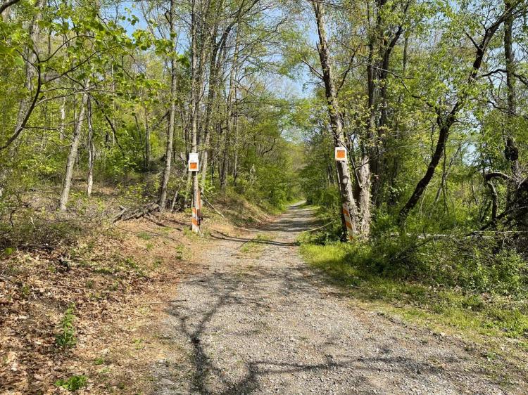 HUNTINGDON COUNTY - HEMLOCK RD - 195 +/- ACRES