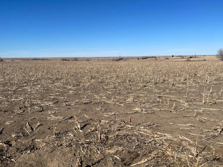 Productive Crop Land, Good Access, Full Possession at Closing