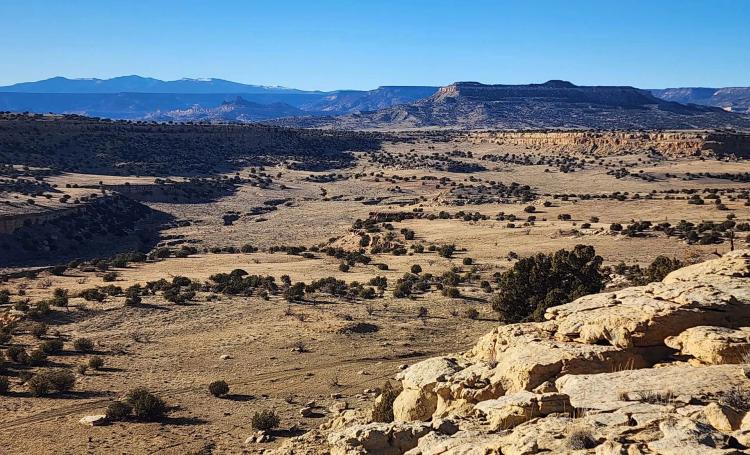 Lobo East Ranch