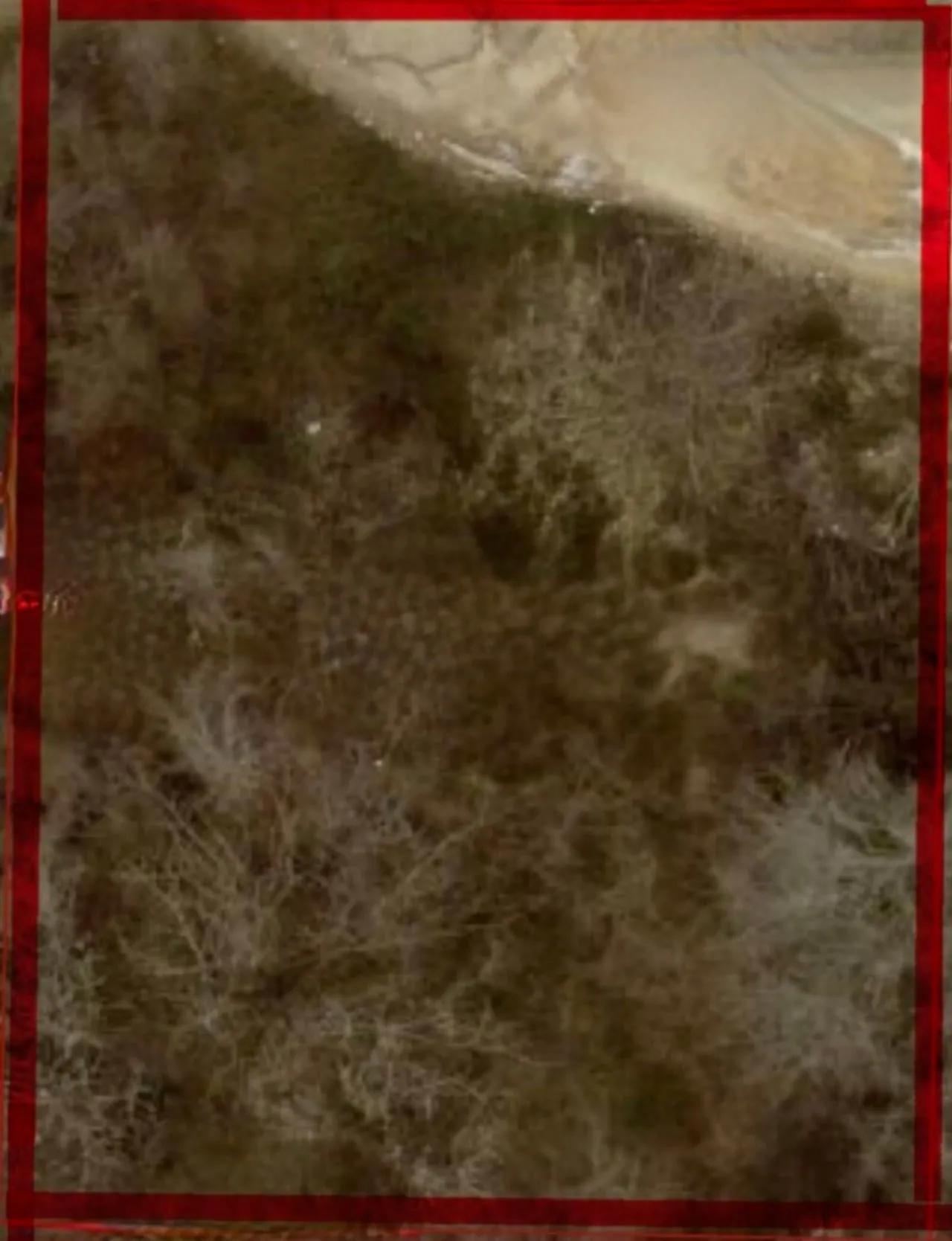 15162668-5