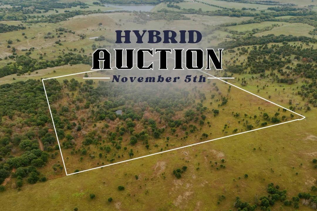 Elk County Secluded 41.4+/- Acres Offered at Auction
