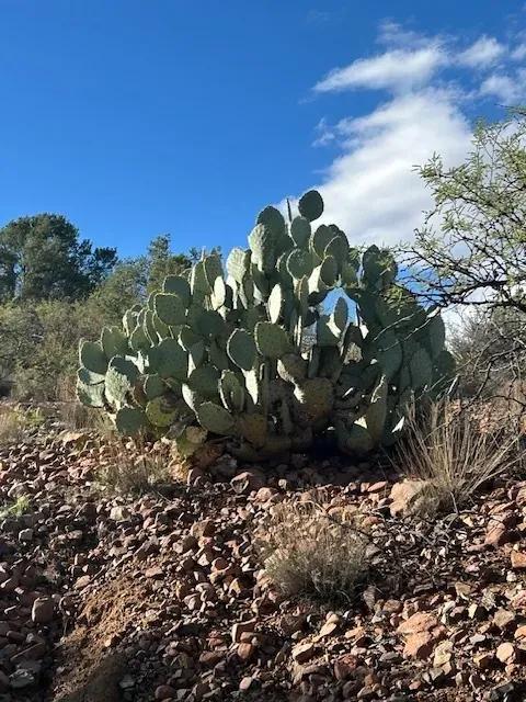 Scenic 47± Acre Historic Patented Mining Property & Historic McMillianville Ghost Town, AZ 100% surrounded by Tonto National Forest!