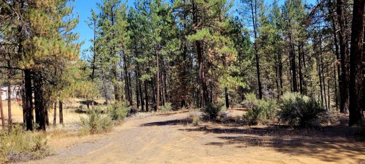 Heavily Treed - Power - Backs to Large Open Ranch