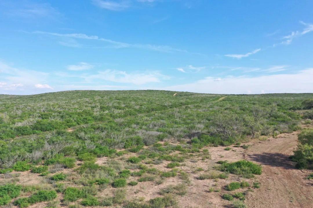 THE FRIO 1030 RANCH