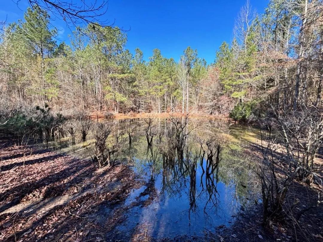 Hunting, Recreational and Investment Property With Small Pond