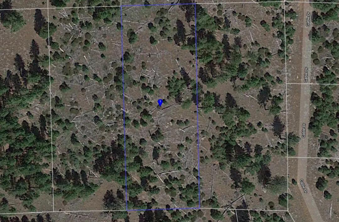  L209847-1 .92 Acres in California Pines, Modoc CA $5,899.00