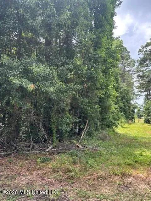 3.1 acres near Tylertown, Mississippi