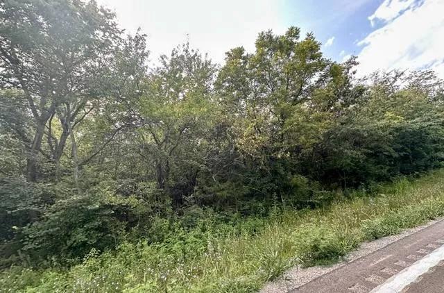 20 Acres of Prime Recreational &amp; Residential Land - Clinton Coun