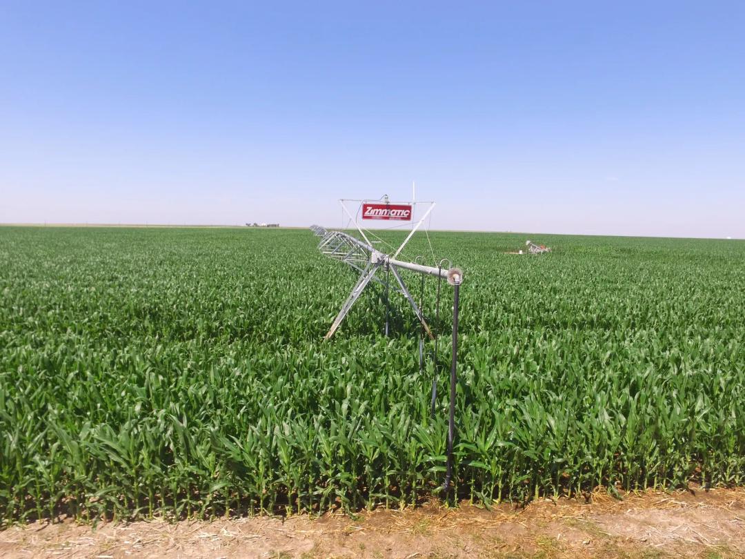 Online Auction Irrigated Cropland in Oklahoma panhandle