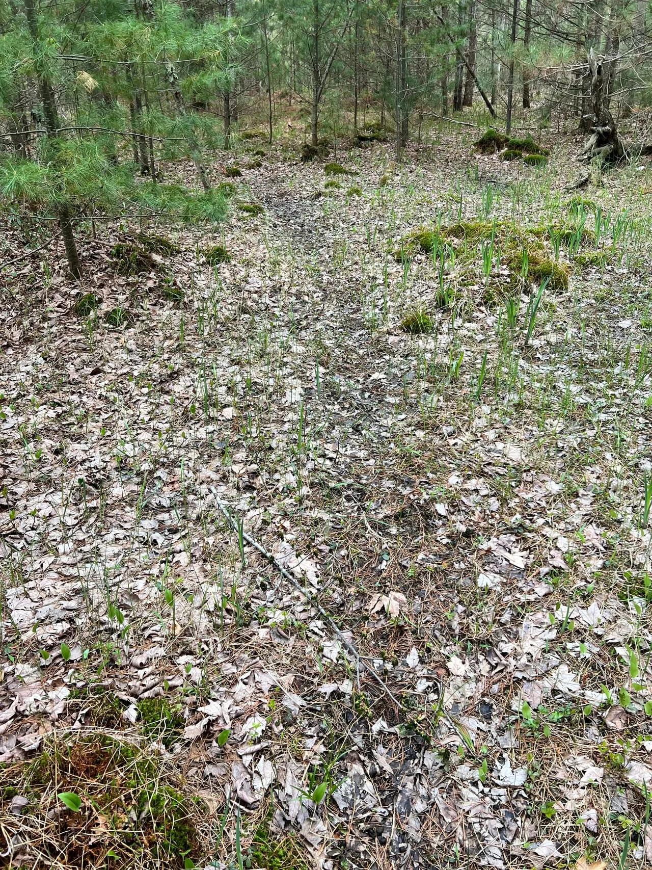 15357635-35