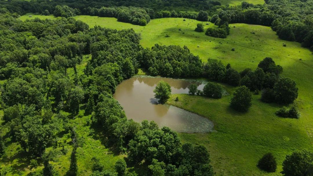 301 Acres in Monroe County, MO 