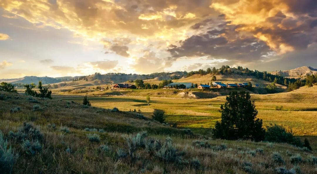 The Steiner Ranch