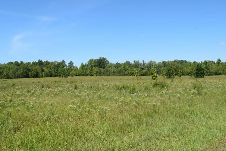 Great location in a high traffic area!