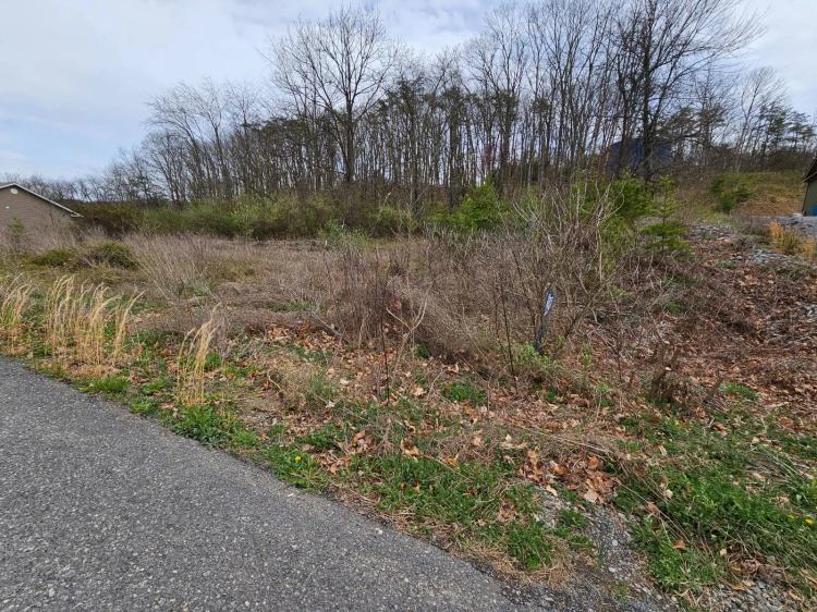 ASHBY CREST ESTATES- 2 ADJOINING LOTS