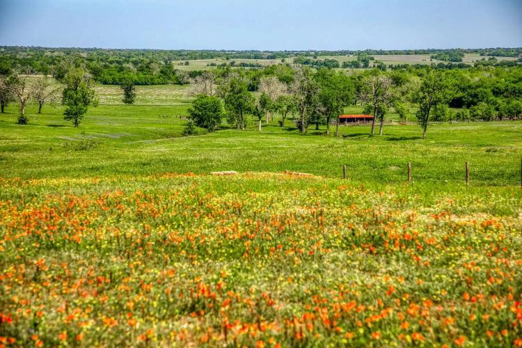 176 Acres at 2945 Fm 3090 Rd