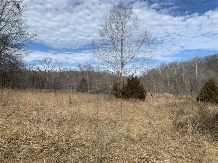 Lakeview Hilltop 46 Acres