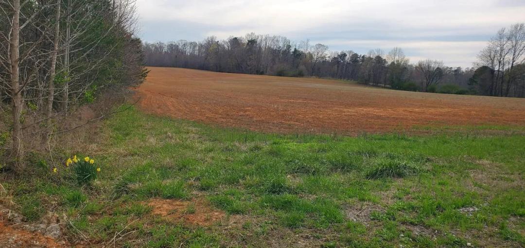 +/- 25ac - Sells Farm Rd Winston-Salem NC - Randolph Co