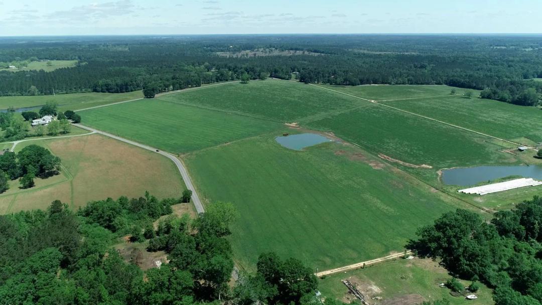 123 Acres in Stone County in Perkinston, MS