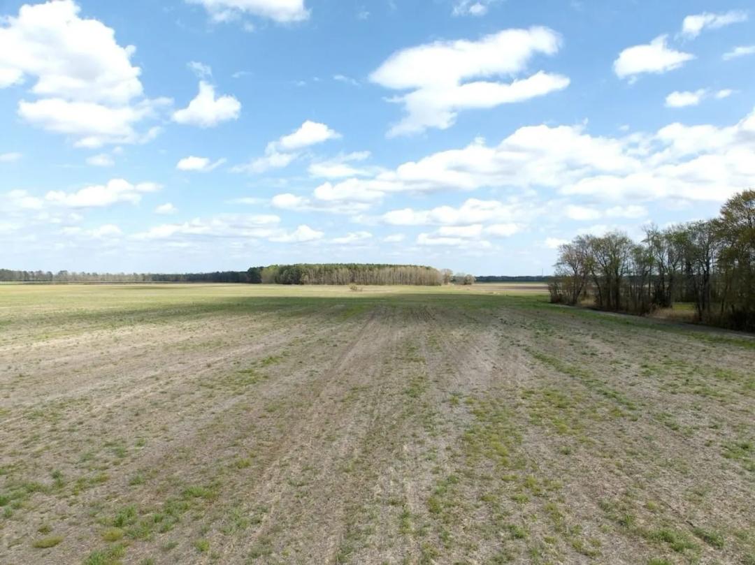 UNDER CONTRACT!!  43.19 acres of farm and  timber land in Gates County NC!