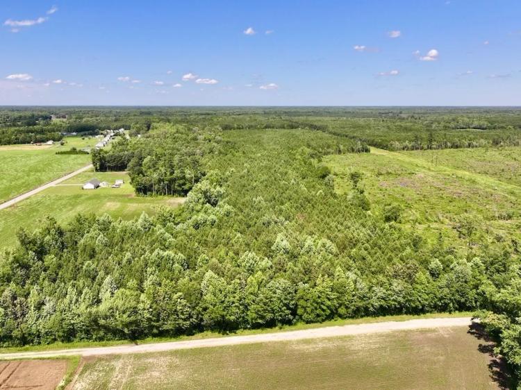 UNDER CONTRACT!!  81 acre Hunting and Timber Tract for Sale in Gates County, NC!