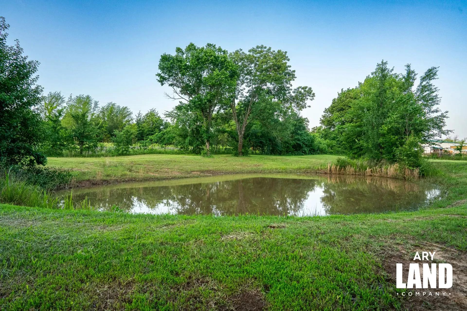 15583846-17