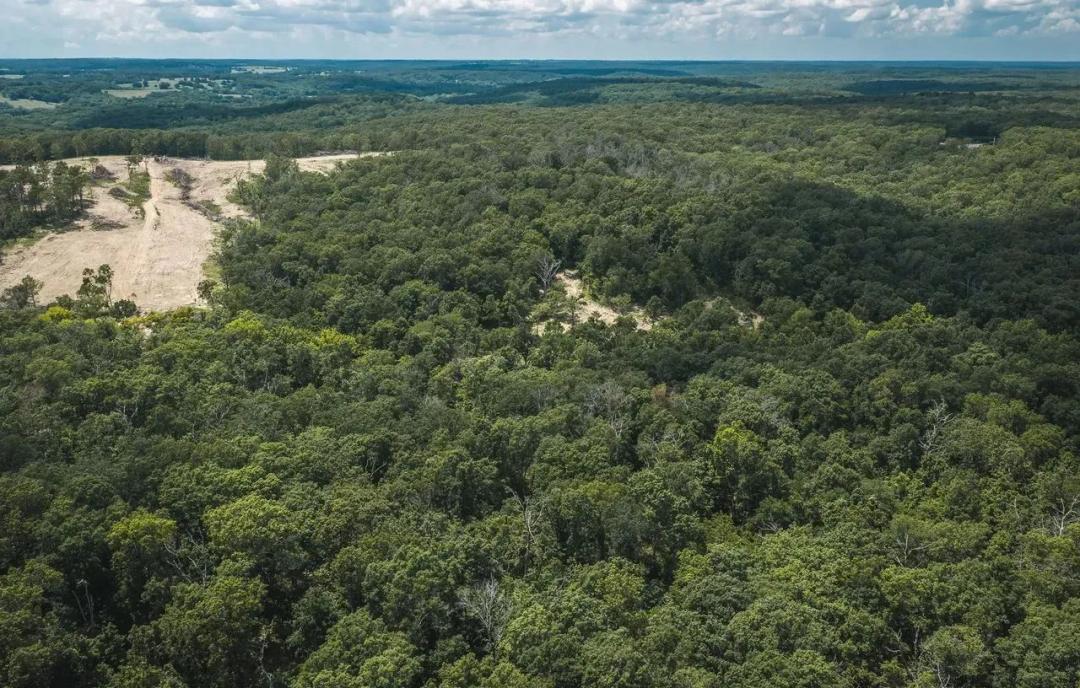 Geronimo Springs Woods-Tract 4