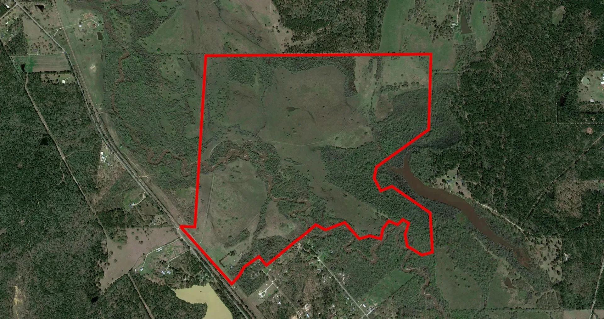 15596881-2