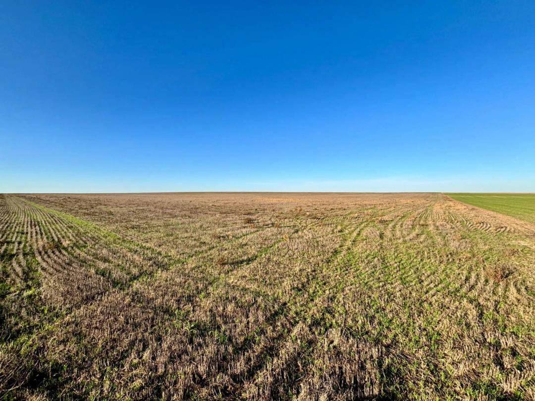 156.00 Acres at 0 County Road K