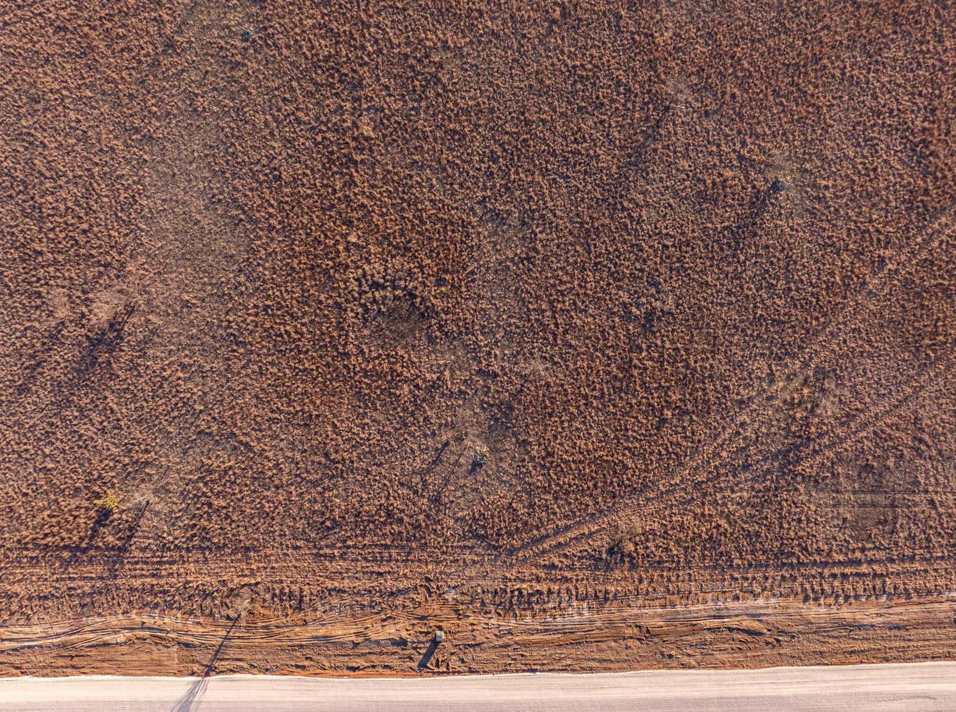 15633350-20