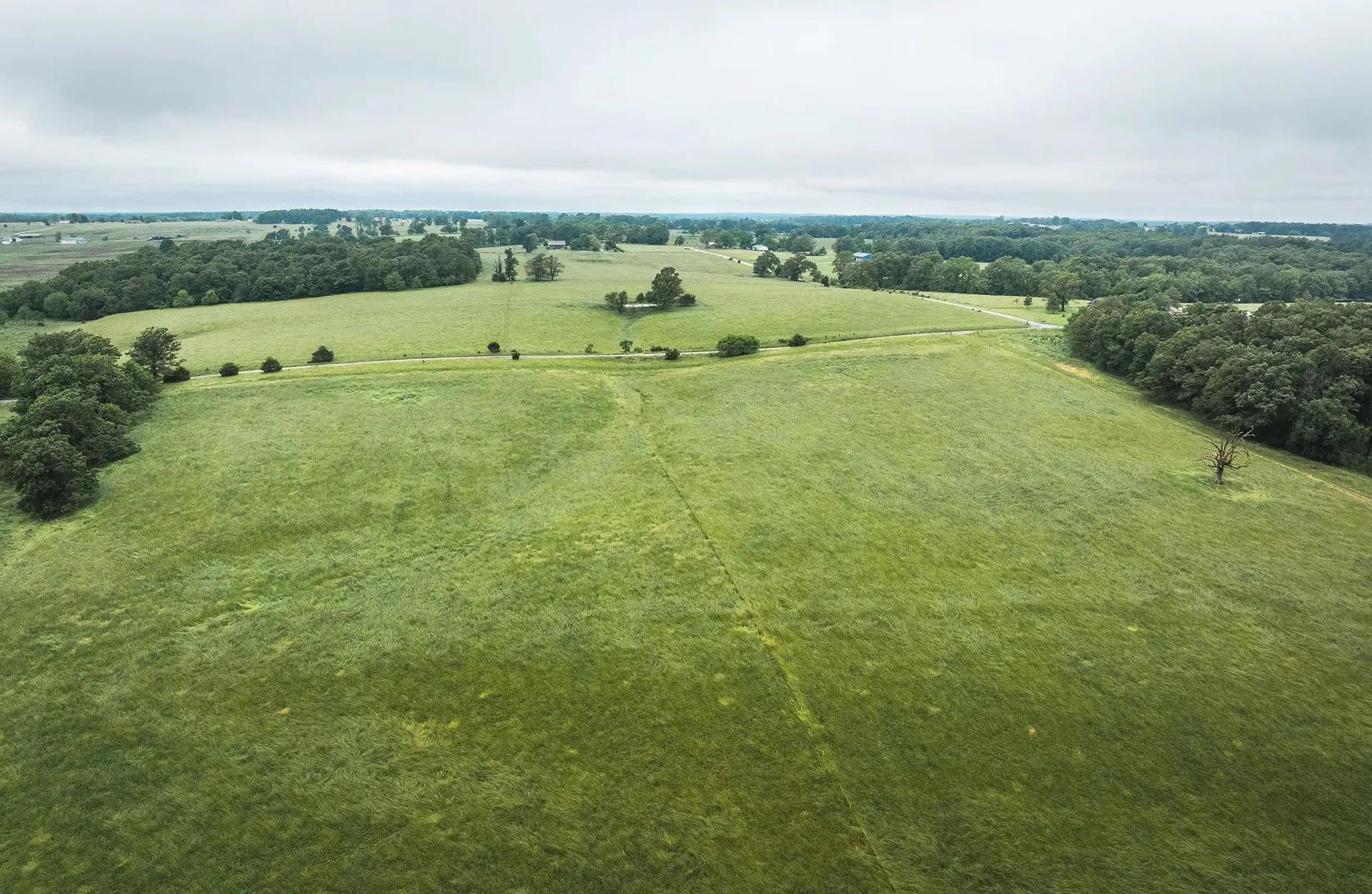 15664800-21