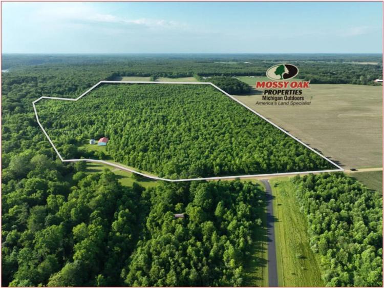 81.55 +/- Acres Chapin Lake Rd, Pine Tree Farm & Barn