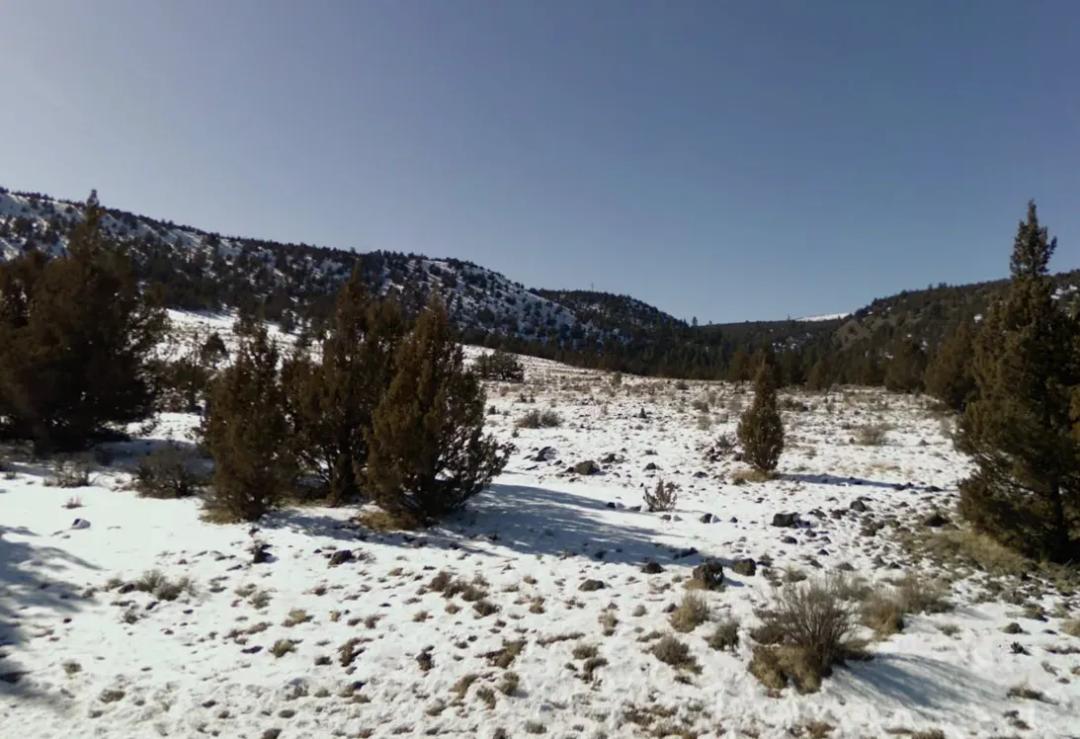 L209377-1 1.15 Acre Lot in California Pines, Modoc CA $7,299.00 (110.82/mo)