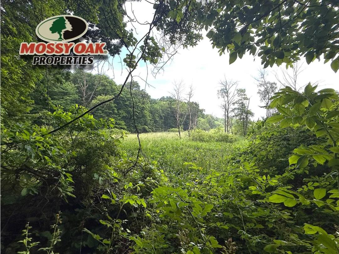 23± Acres – Marshall County, IN – Recreational Property – Land for Sale – Potential Building Site